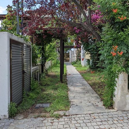 Melina Apartments Nikiti  Eksteriør billede